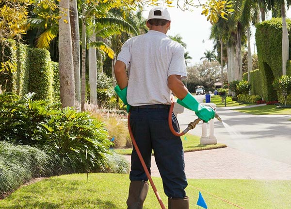 About Tye TX Pest Control